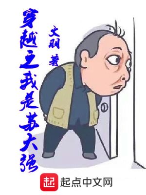 红楼之衡心向黛